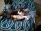 . Baby Cat .