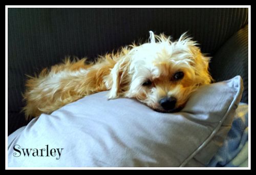 . Swarley .