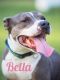 . Bella Gabriella .