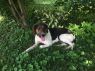 . Maisy .