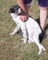 . Dottie .