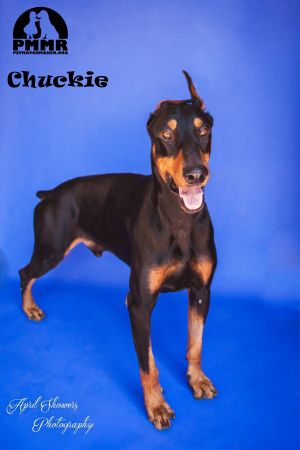 . Chuckie .