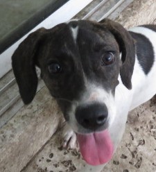 . Skittles! Petite & SWEET! .