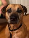 Roxy A034541