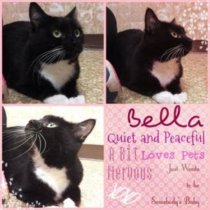 . Bella .
