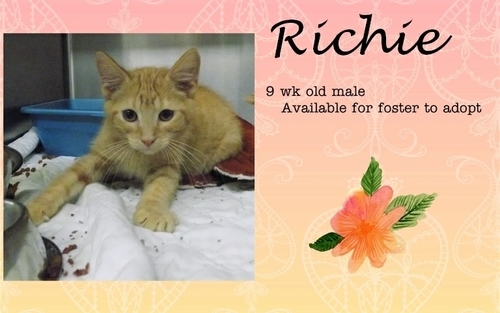 . Richie .