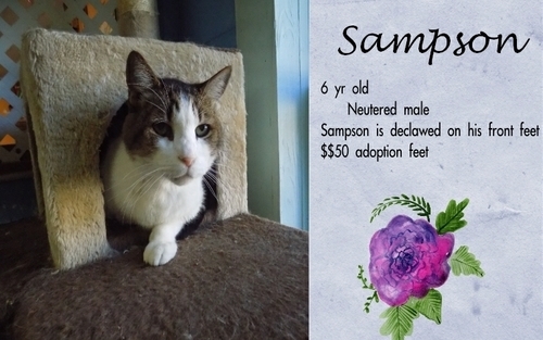 . Sampson .