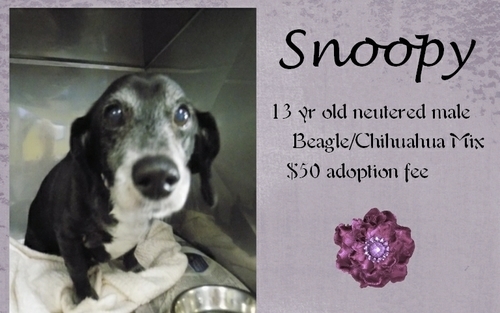 . Snoopy .