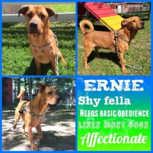 . Ernie .