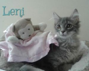 . Leni .