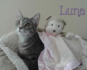 . Luna .