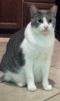 . Jasper .