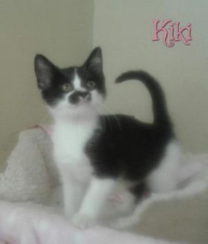 . Kiki .