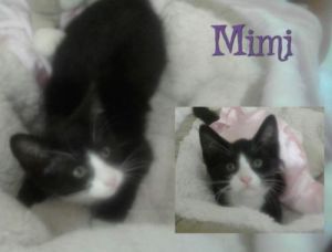 . MiMi .