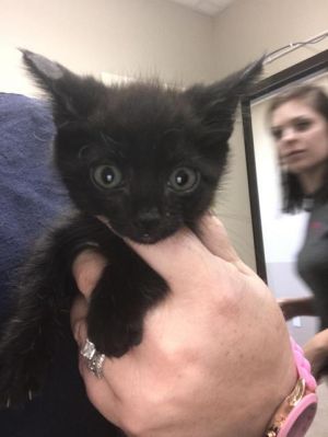 . Tina .