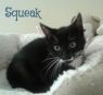 . Squeak .