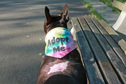 Photo of Aimee