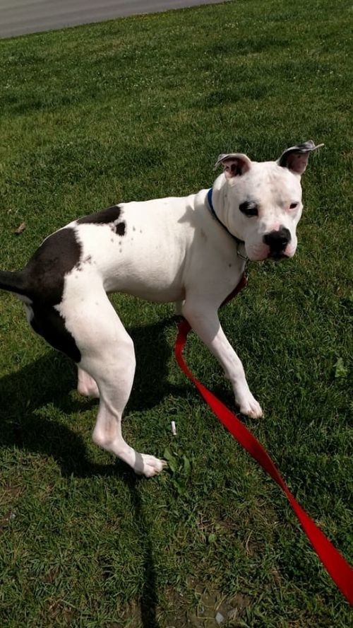 Photo of Billy