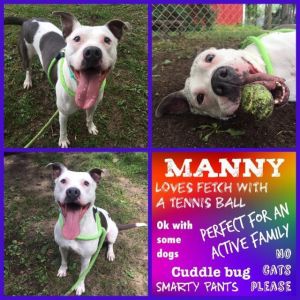 . Manny .