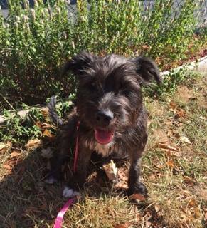 . Maggie Mae .