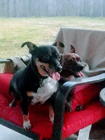 . Sissy and Sonny .