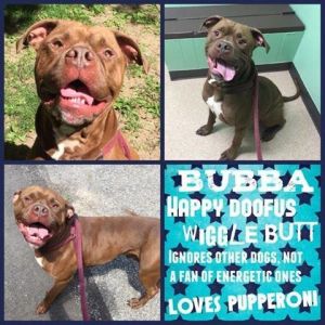 . Bubba .