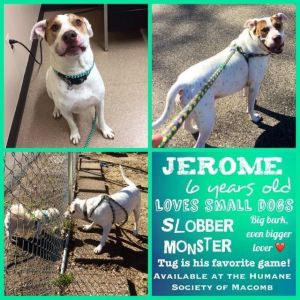 . Jerome .