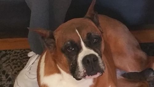 . Essi - Need Foster .