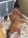 . Essi - Need Foster .