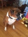 . Essi - Need Foster .
