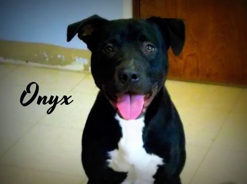 . Onyx .