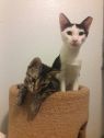 . Stella and Milly .
