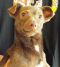 . Roo .
