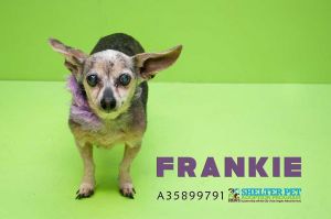 . Frankie .