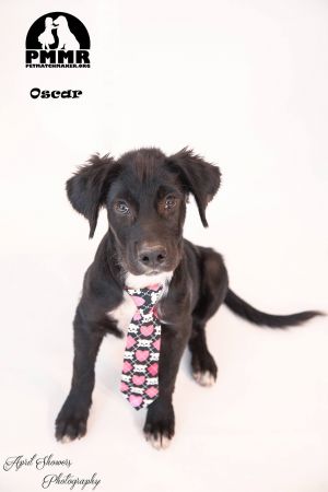 . Oscar .