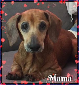 . Mama .
