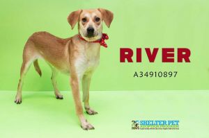 . River .
