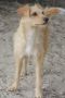 . Alaina ~ Timid & Beautiful! .