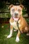 . Fergie - 30 lbs! .