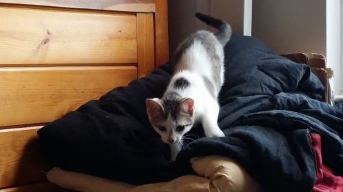 . Eli .