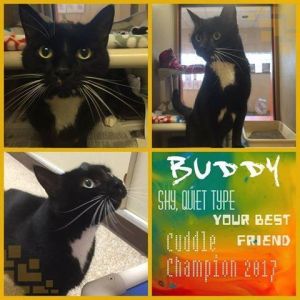 . Buddy .
