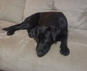 . Molly #63 .
