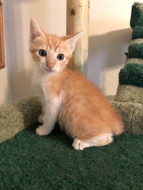 . Ziggy .