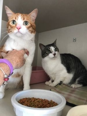 . Charlie and Oliver .