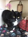 . Selina - Meet me at Petco in Manchester! .