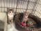 . Lucy and Ethel .