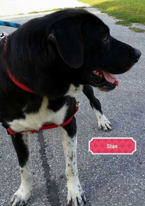 . Stan .