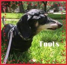 . Toots .