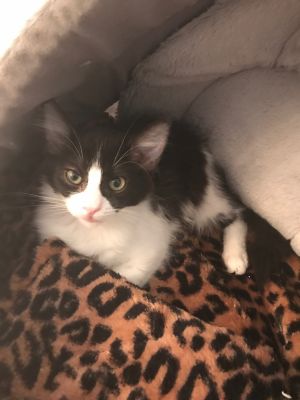 . KiKi .
