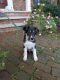 . Matius .